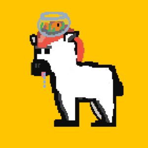 Zebra #5268