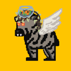 Zebra #5267